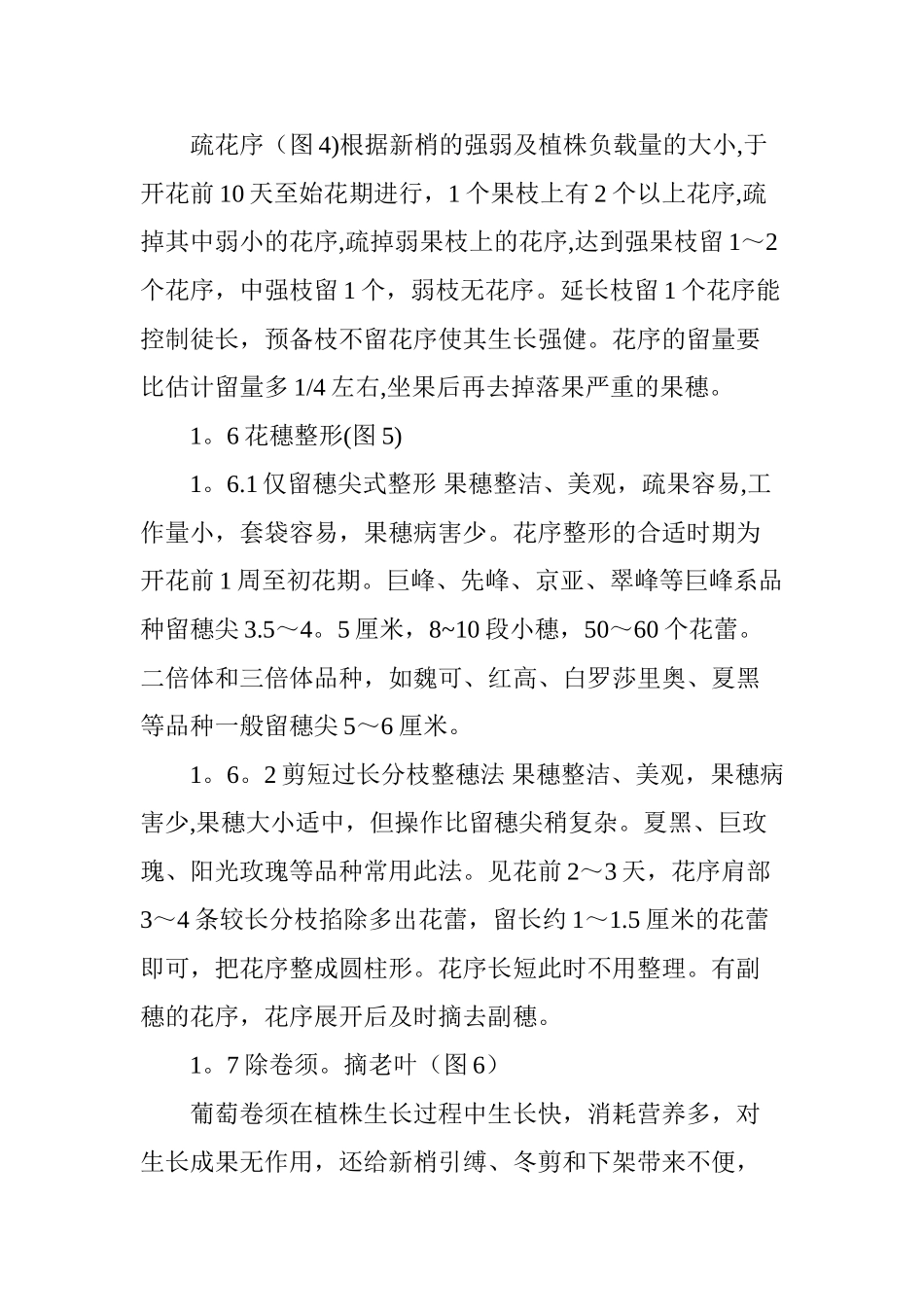 2025年葡萄夏季管理全套技术_第3页