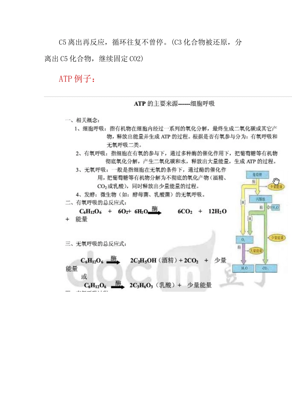 2025年高中生物光合呼吸作用知识点_第2页