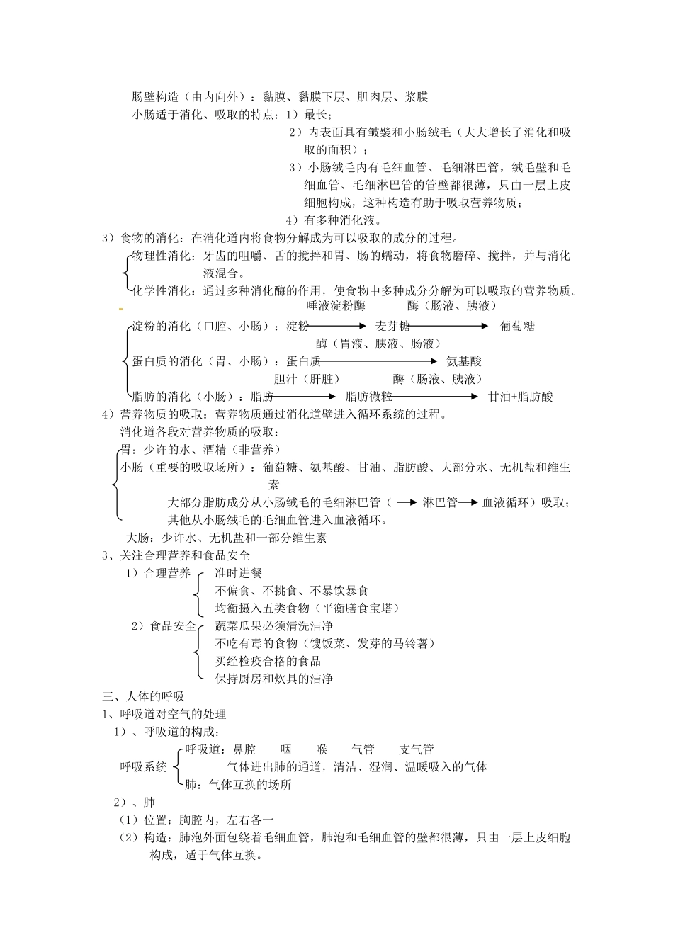 2025年七年级生物上册第四单元生物圈中的人知识点汇总新人教版_第3页