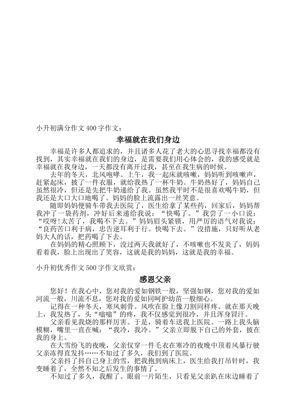 2025年小升初作文范文教学文案_第2页