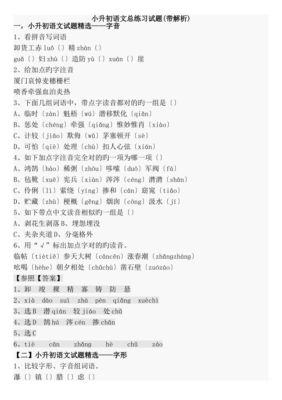 2025年小升初语文总练习试题带解析培训讲学_第2页