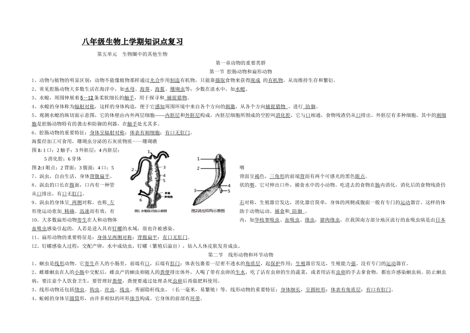 2025年人教版生物八年级生物上册期末知识点归纳资料_第2页