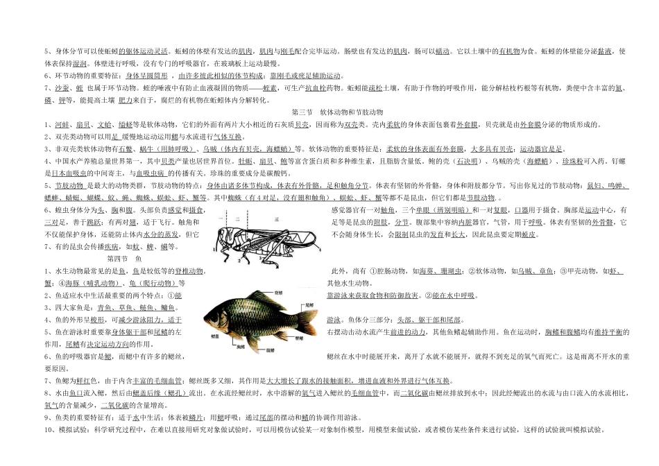 2025年人教版生物八年级生物上册期末知识点归纳资料_第3页