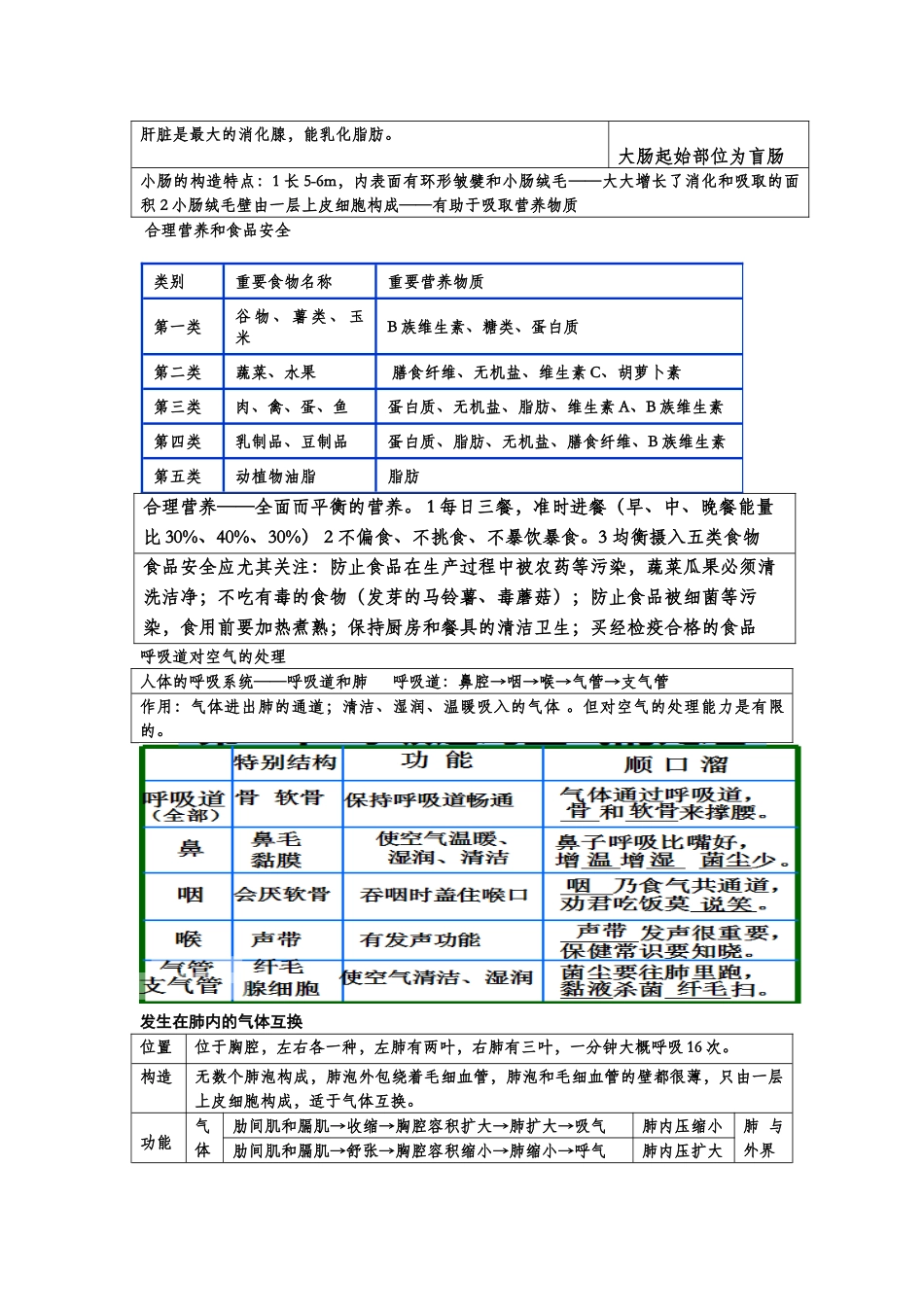 2025年人教版七年级生物下册知识点总结_第3页
