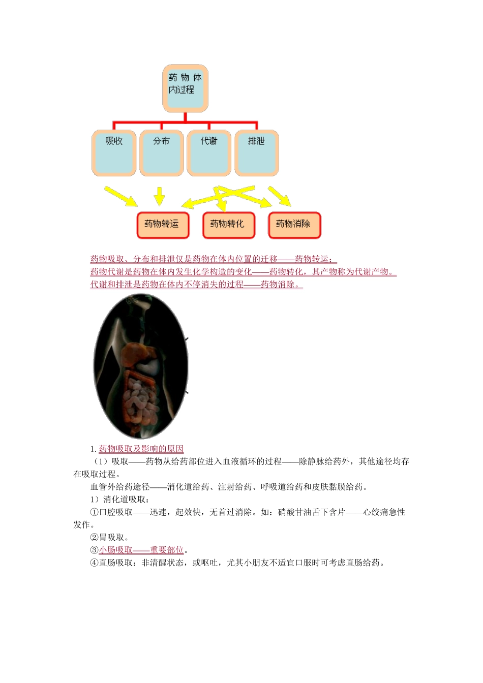 2025年执业药师药物代谢动力学复习进程_第3页