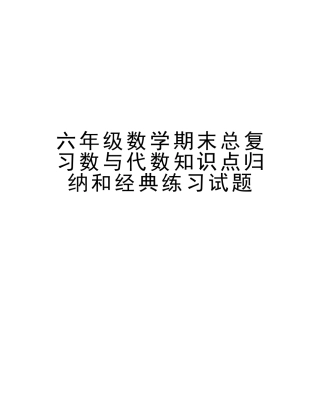 2025年六年级数学期末总复习数与代数知识点归纳和练习试题教程文件