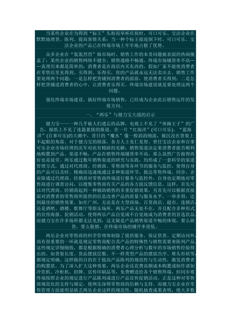 2025年营销终端工作手册_第2页