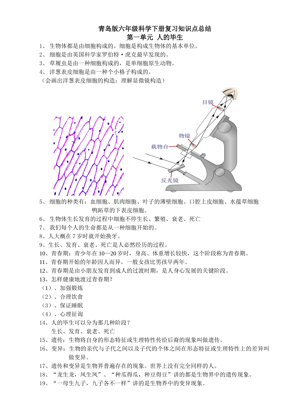 2025年青岛版六年级下册科学全册知识点总结及试题_第1页