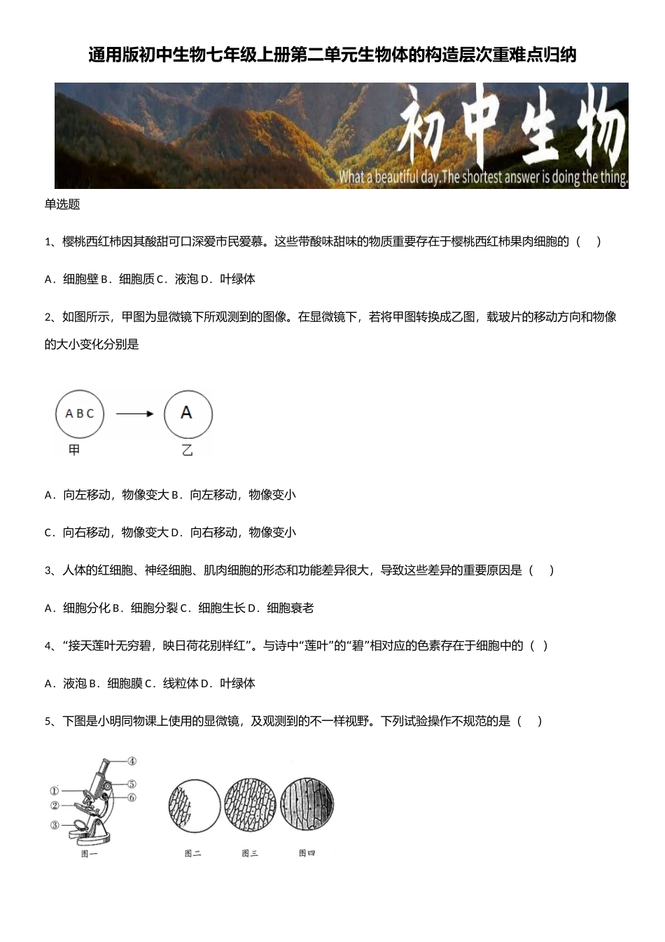 2025年通用版初中生物七年级上册第二单元生物体的结构层次重难点归纳_第1页