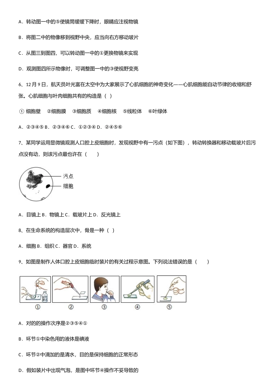 2025年通用版初中生物七年级上册第二单元生物体的结构层次重难点归纳_第2页