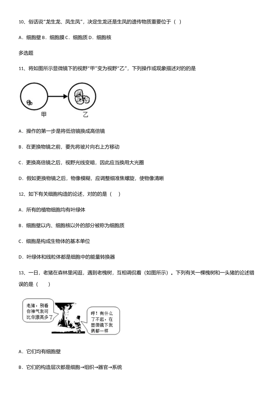 2025年通用版初中生物七年级上册第二单元生物体的结构层次重难点归纳_第3页