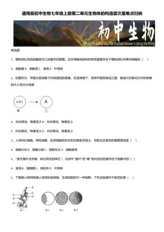 2025年通用版初中生物七年级上册第二单元生物体的结构层次重难点归纳