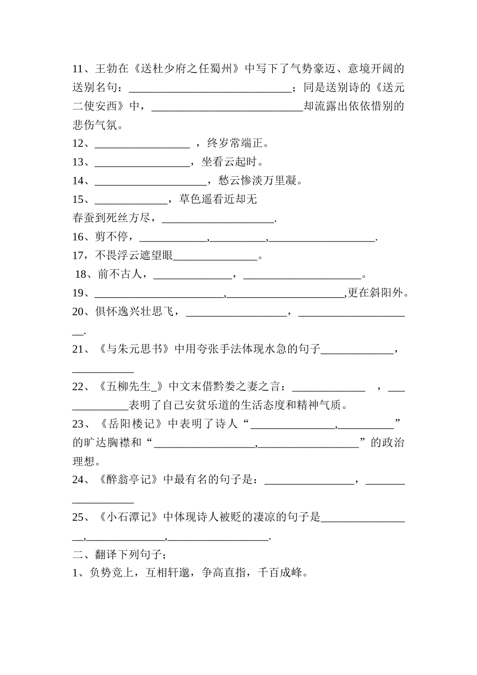2025年中考语文知识点复习考试题_第2页