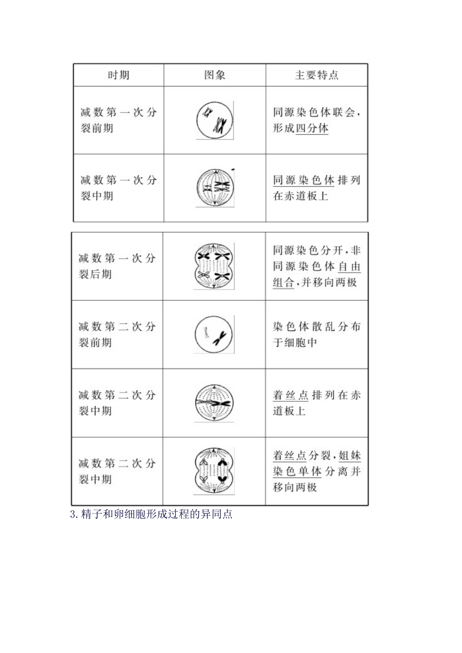 2025年金版学案高考生物一轮复习知识点与课后训练第4单元第12讲减数分裂_第2页