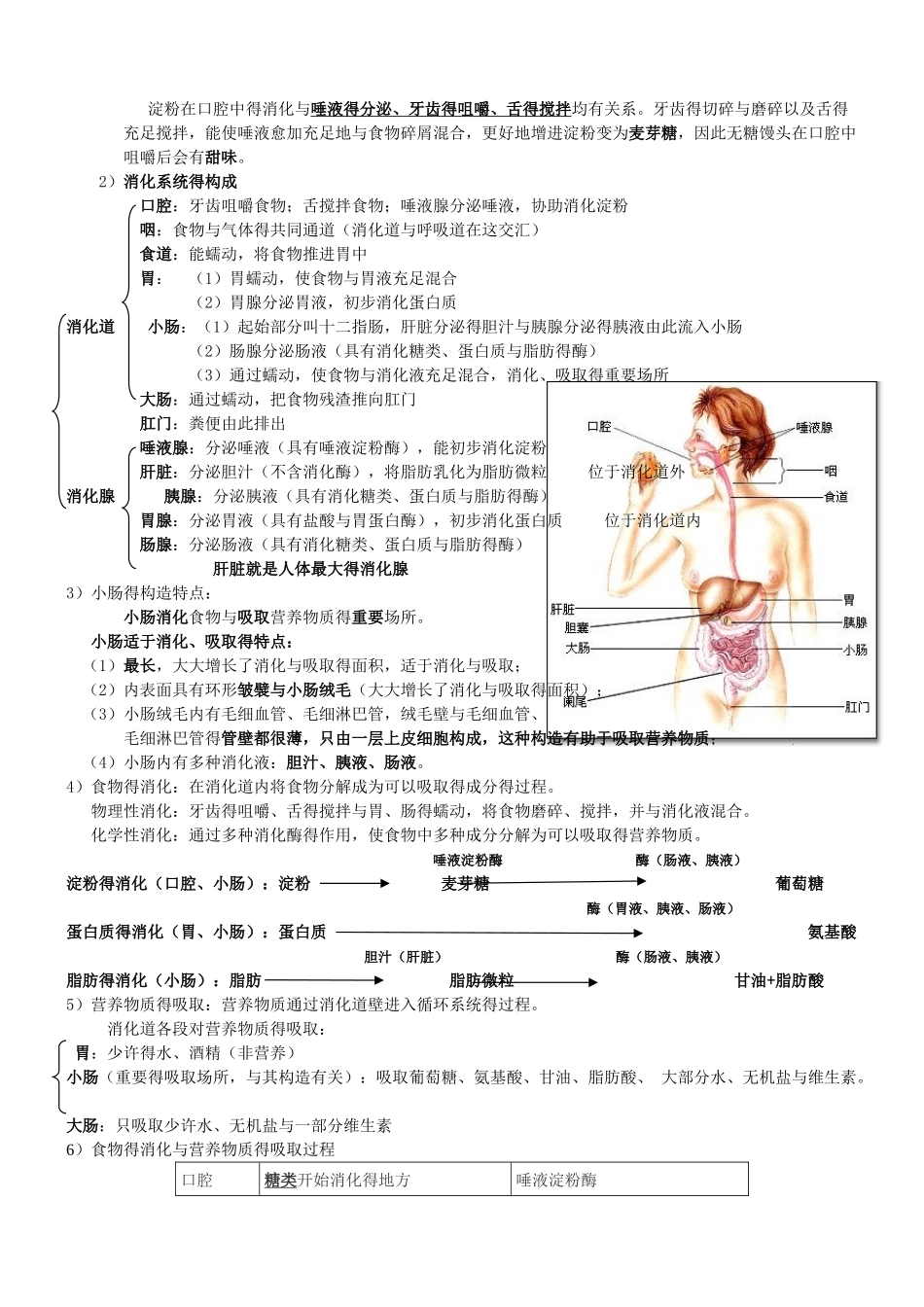 2025年人教版七年级下生物知识点总结附带图片_第2页