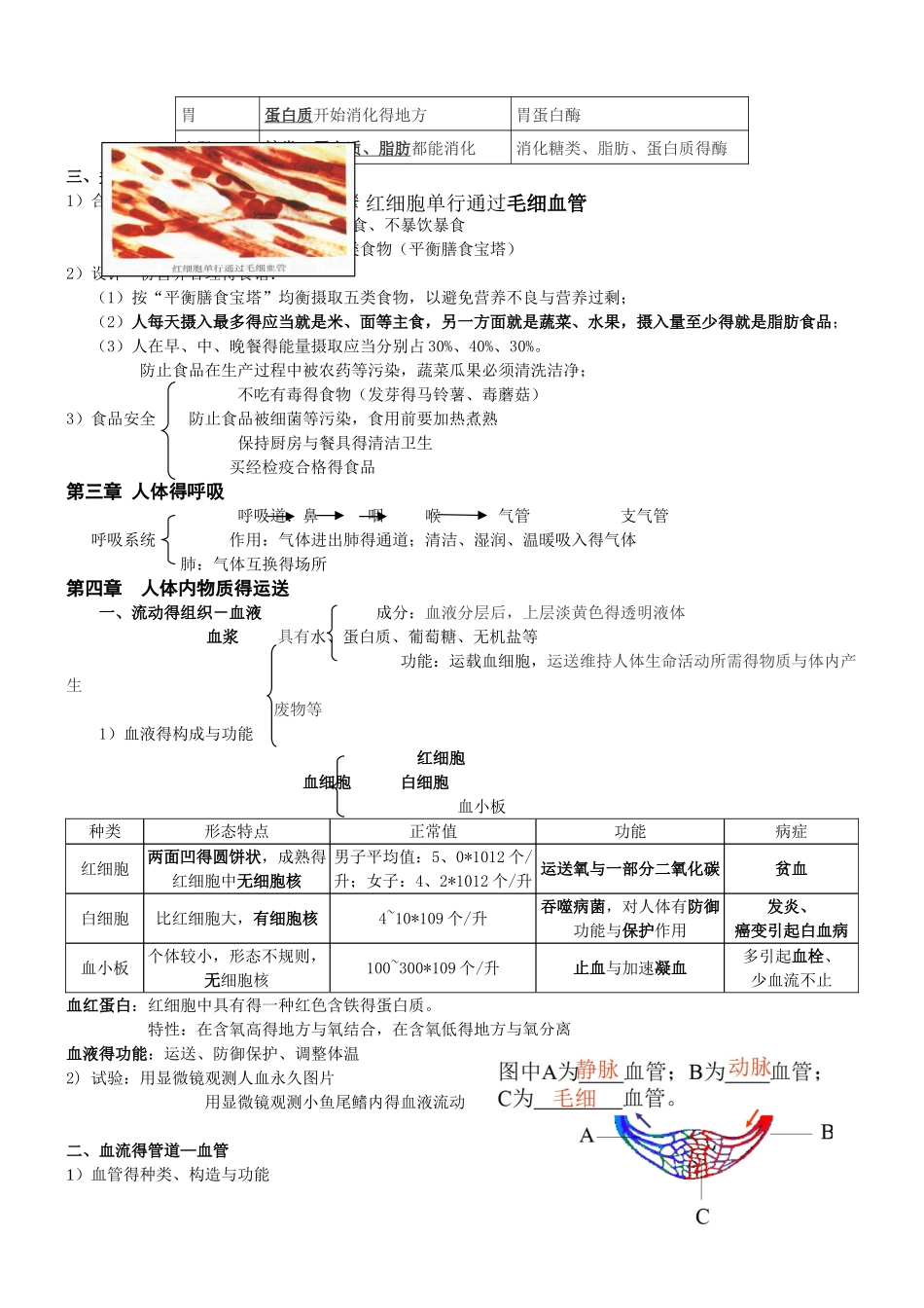 2025年人教版七年级下生物知识点总结附带图片_第3页