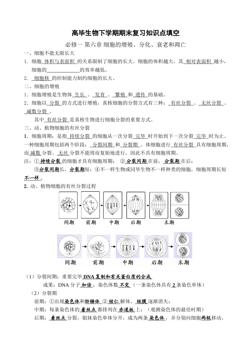 2025年高中生物必修二知识点填空含答案0讲解学习_第2页