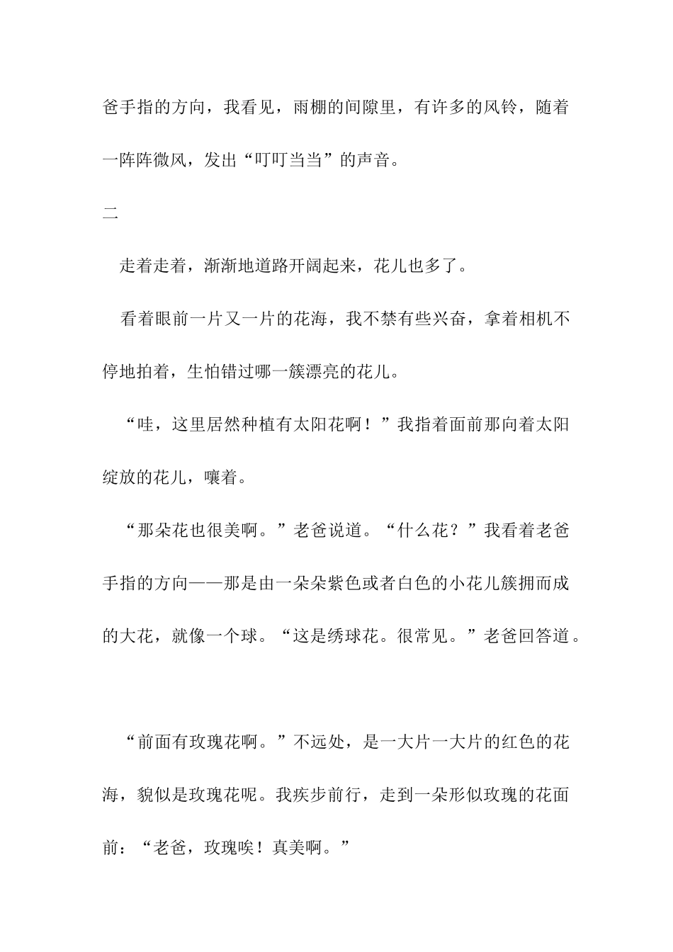 云中花都-真美_第2页