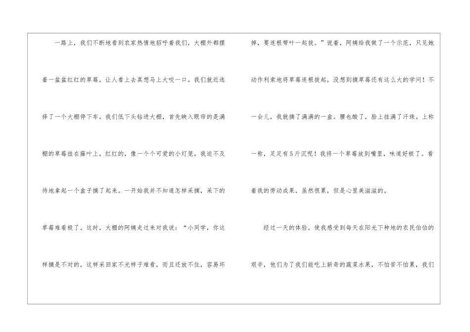 五年级的作文300字三篇_第3页