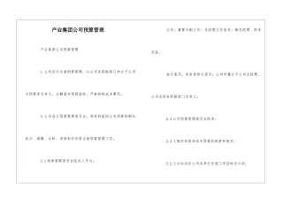 产业集团公司预算管理--
