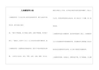 人体解剖学小结