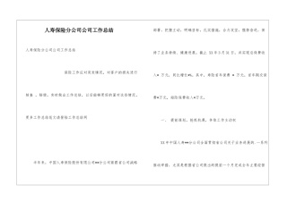 人寿保险分公司公司工作总结