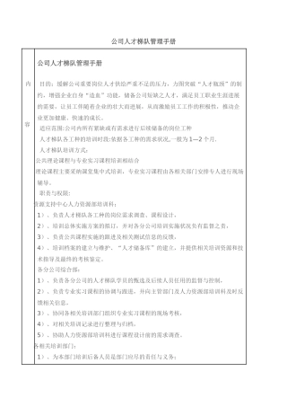 人才梯队建设作业指导书