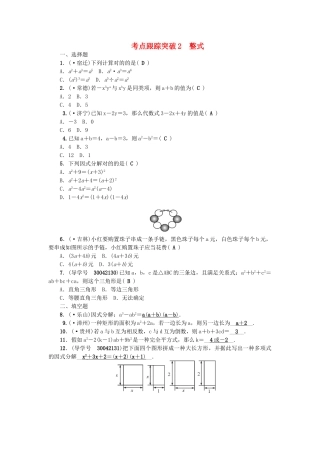2025年中考数学总复习数与式考点跟踪突破2整式试题