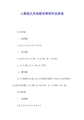 人教版九年级数学寒假作业答案