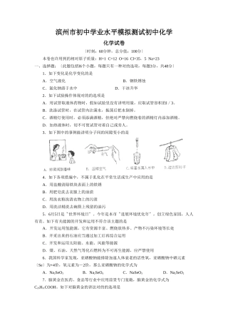 2025年滨州市初中学业水平模拟测试初中化学