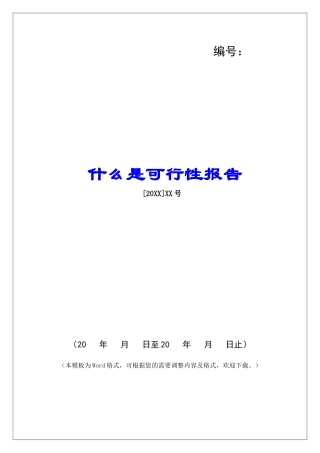 什么是可行性报告