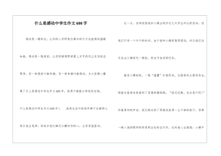 什么是感动中学生作文600字