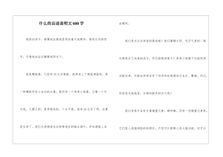 什么的自述说明文600字-1