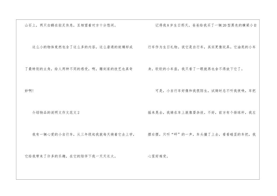 介绍物品的说明文作文模板素材_第3页