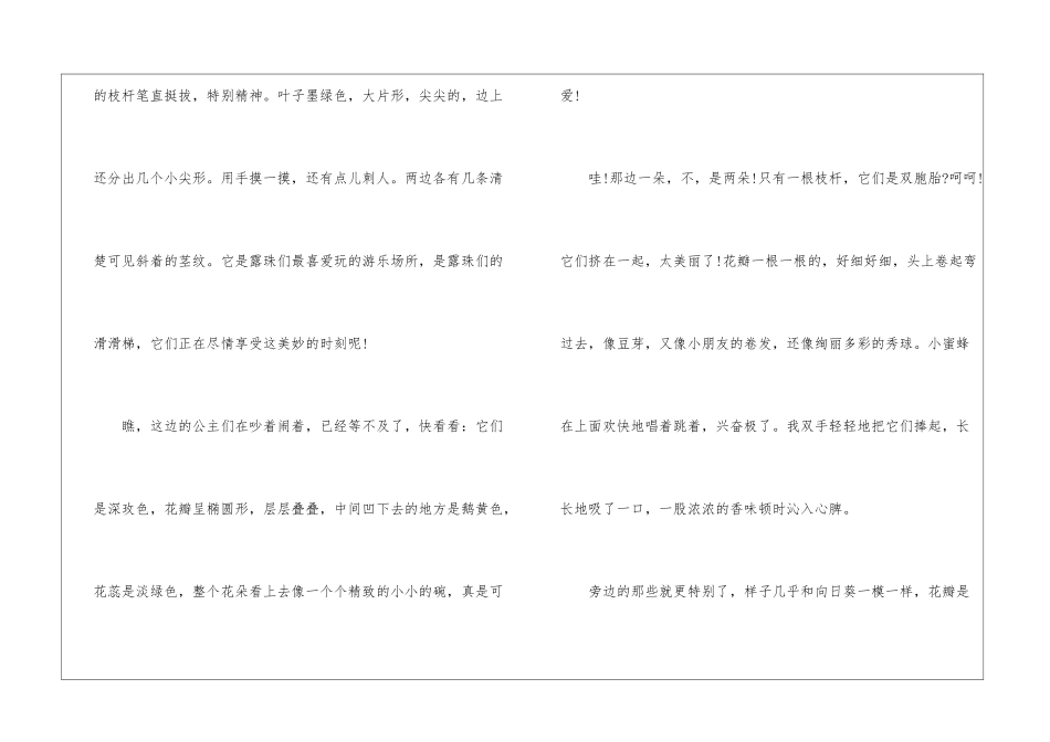 介绍菊花的说明文作文五篇模板_第2页
