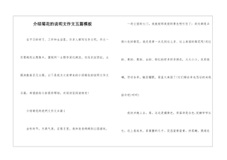 介绍菊花的说明文作文五篇模板