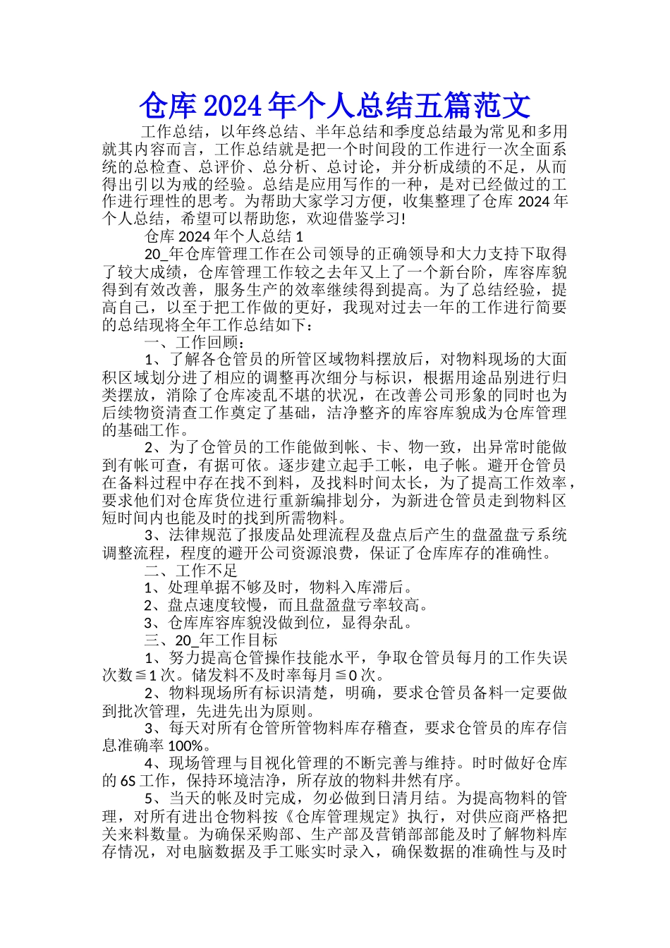 仓库2024年个人总结五篇范文_第1页