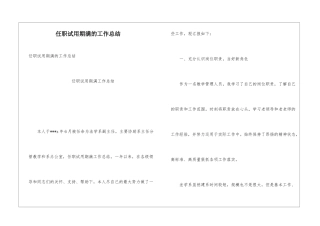 任职试用期满的工作总结