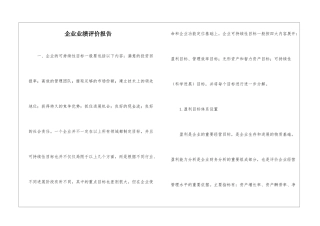 企业业绩评价报告