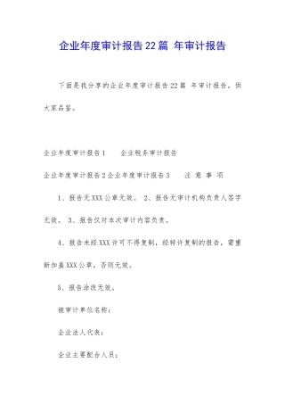 企业年度审计报告22篇-年审计报告