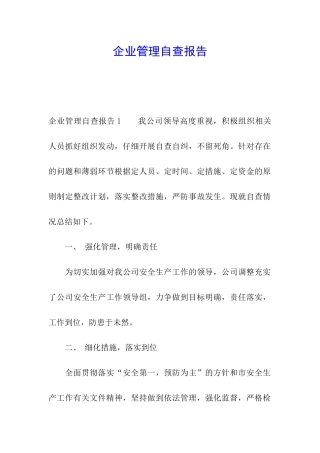 企业管理自查报告