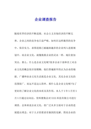 企业调查报告