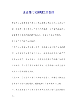 企业部门试用期工作总结-