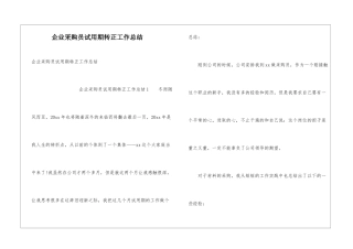 企业采购员试用期转正工作总结