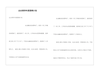 企业领导年度营销计划