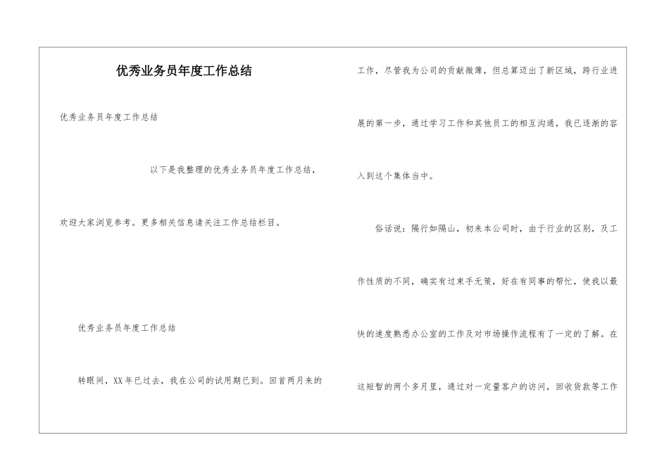 优秀业务员年度工作总结_第1页