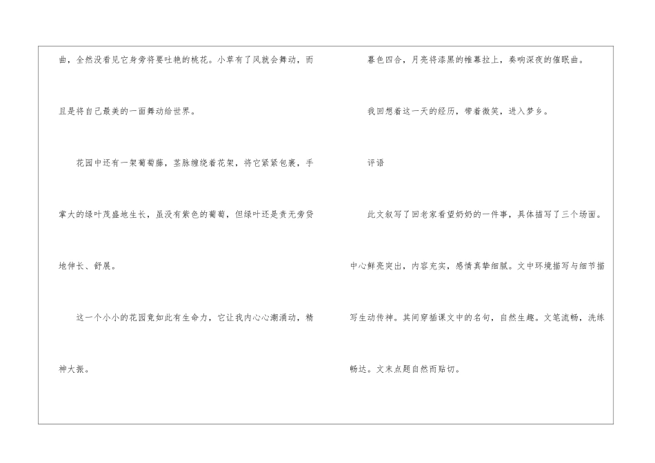 优秀作文带评语_第3页