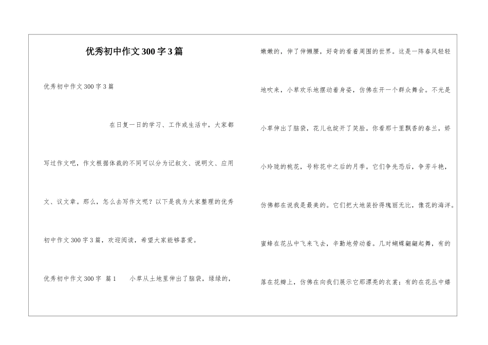 优秀初中作文300字3篇_第1页