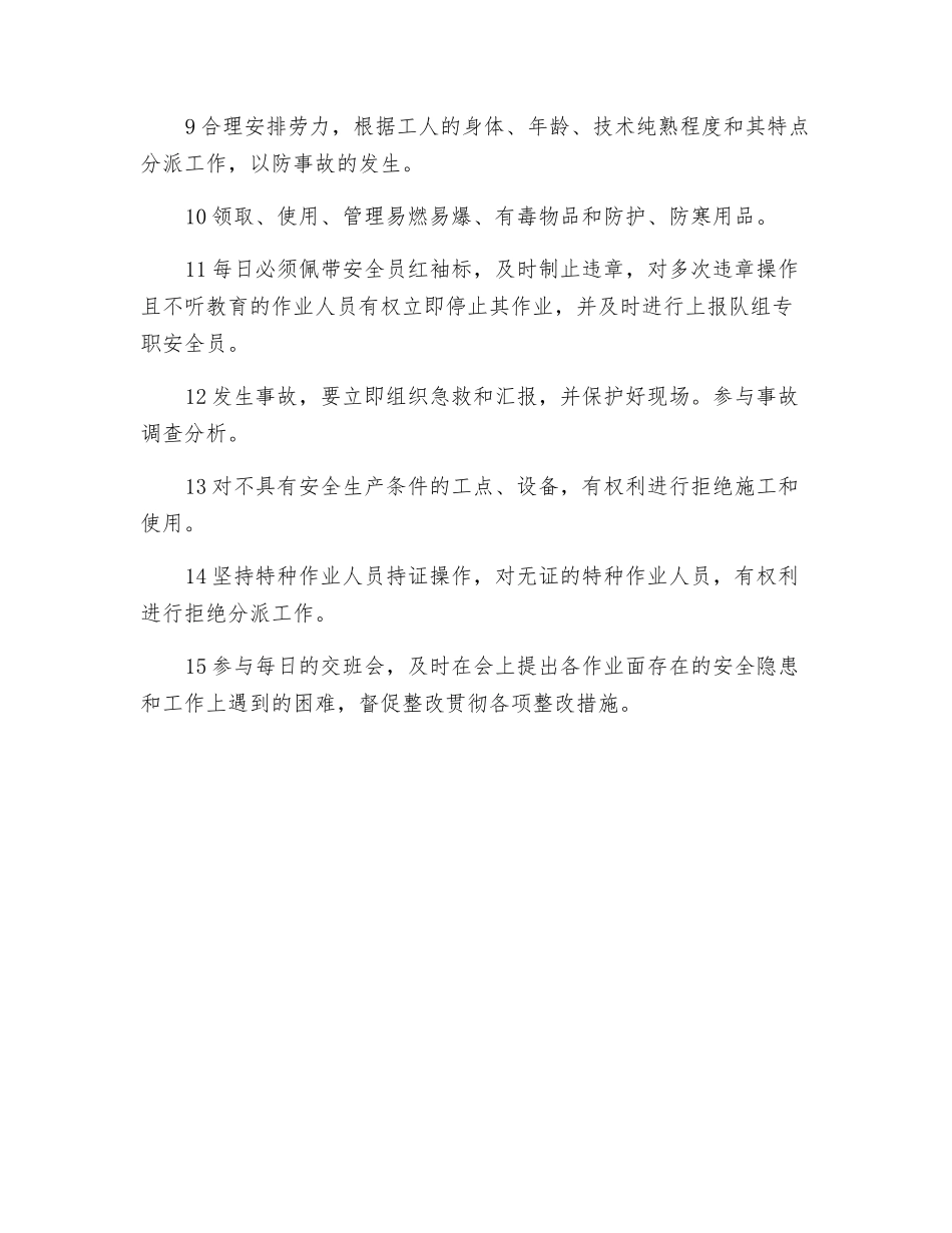 2025年部门安全员劳务队组各班组长兼兼职安全员安全生产岗位职责_第2页