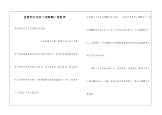 优秀的公司员工试用期工作总结